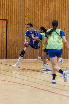 Bild 70 - wBJ TSV Ellerau - HSG Stoertal Hummeln : Ergebnis: 26:19